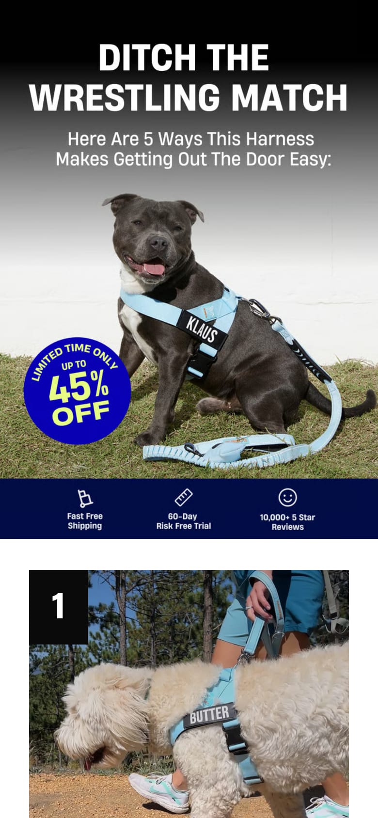 landing page capture