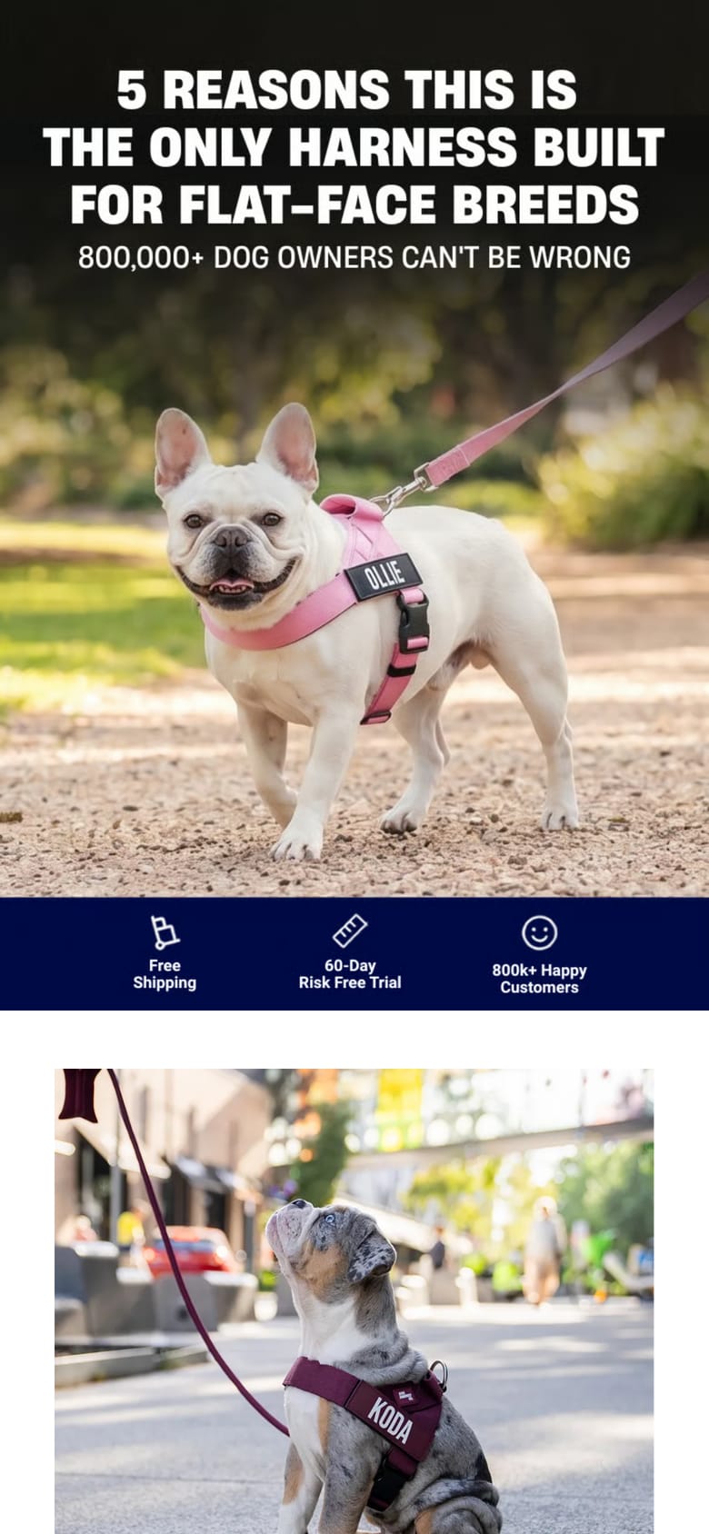 landing page capture
