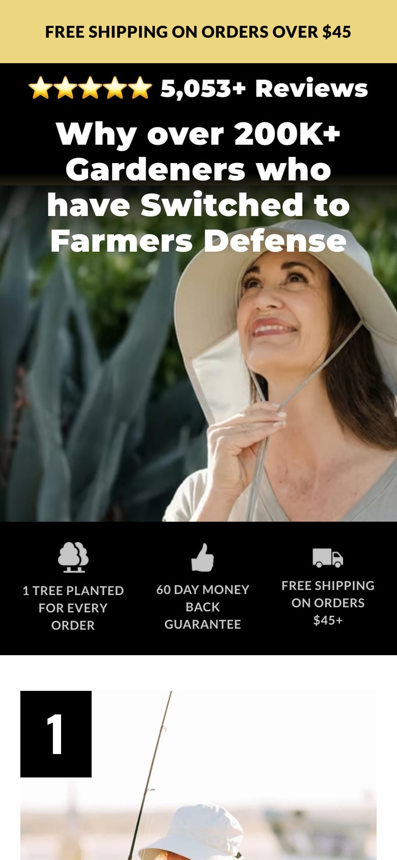 landing page capture