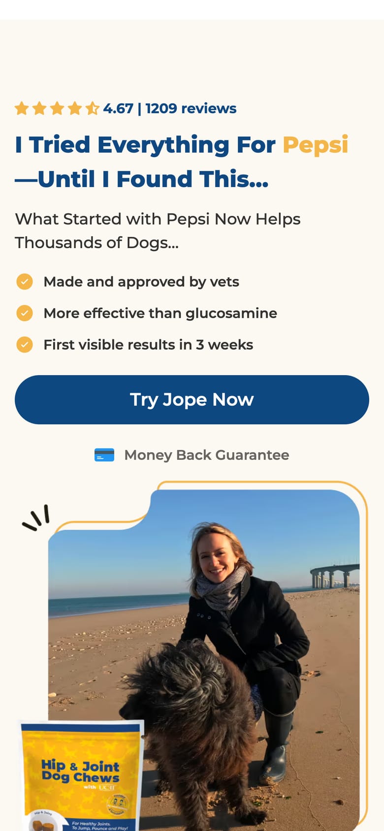 landing page capture