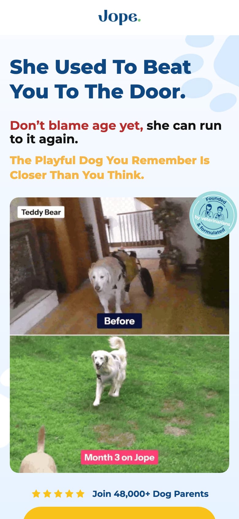 landing page capture