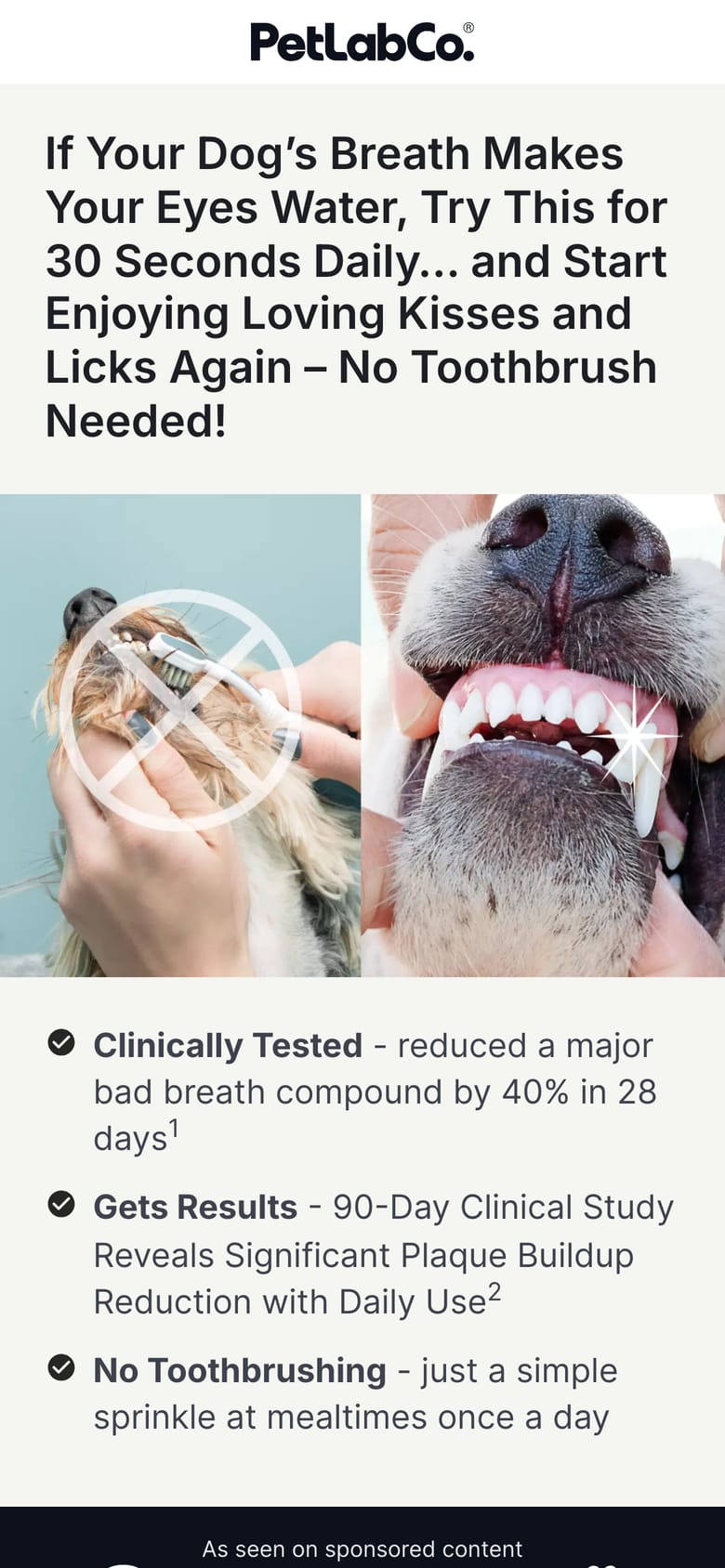 landing page capture
