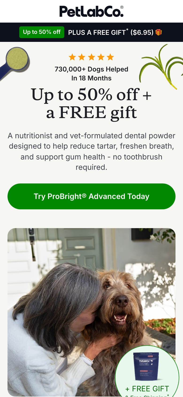 landing page capture