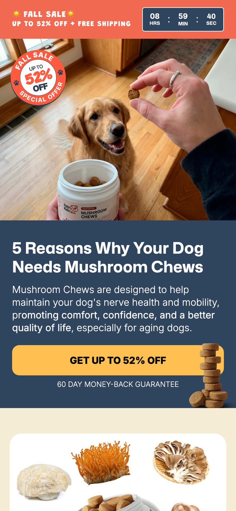 landing page capture