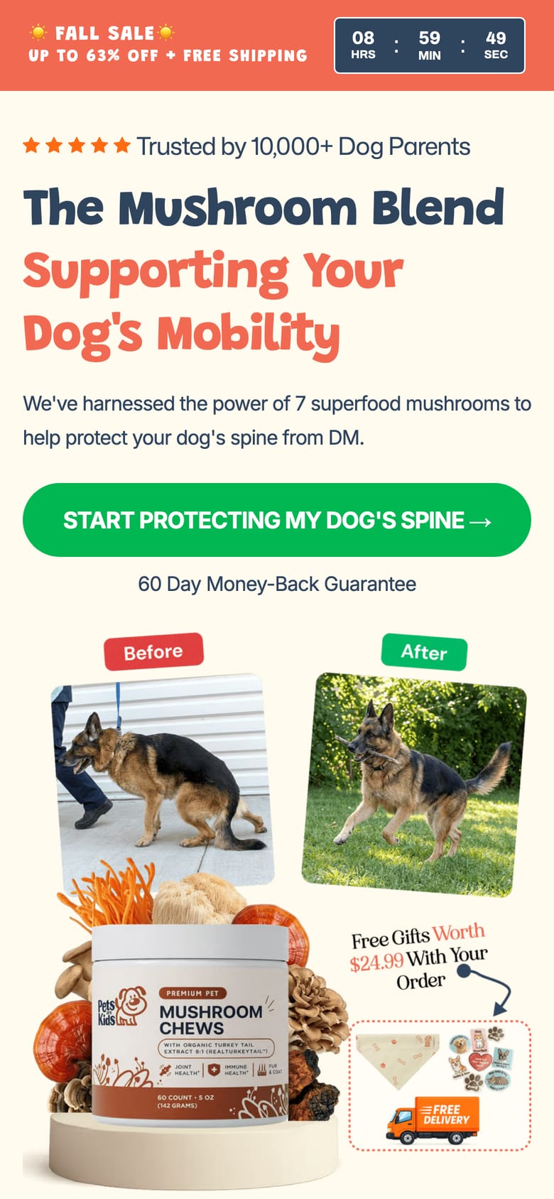 landing page capture
