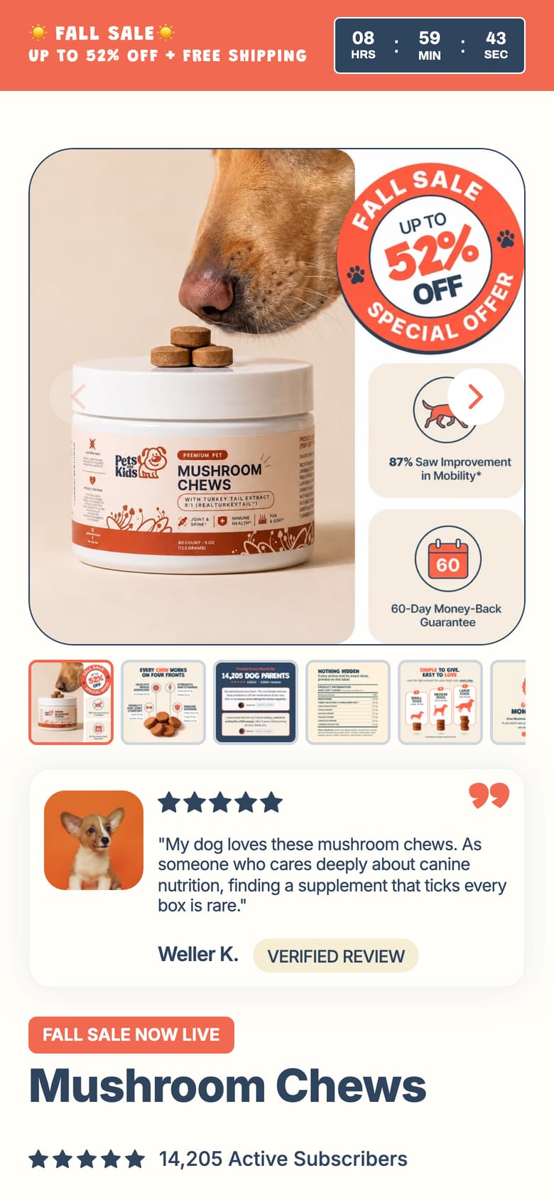 landing page capture