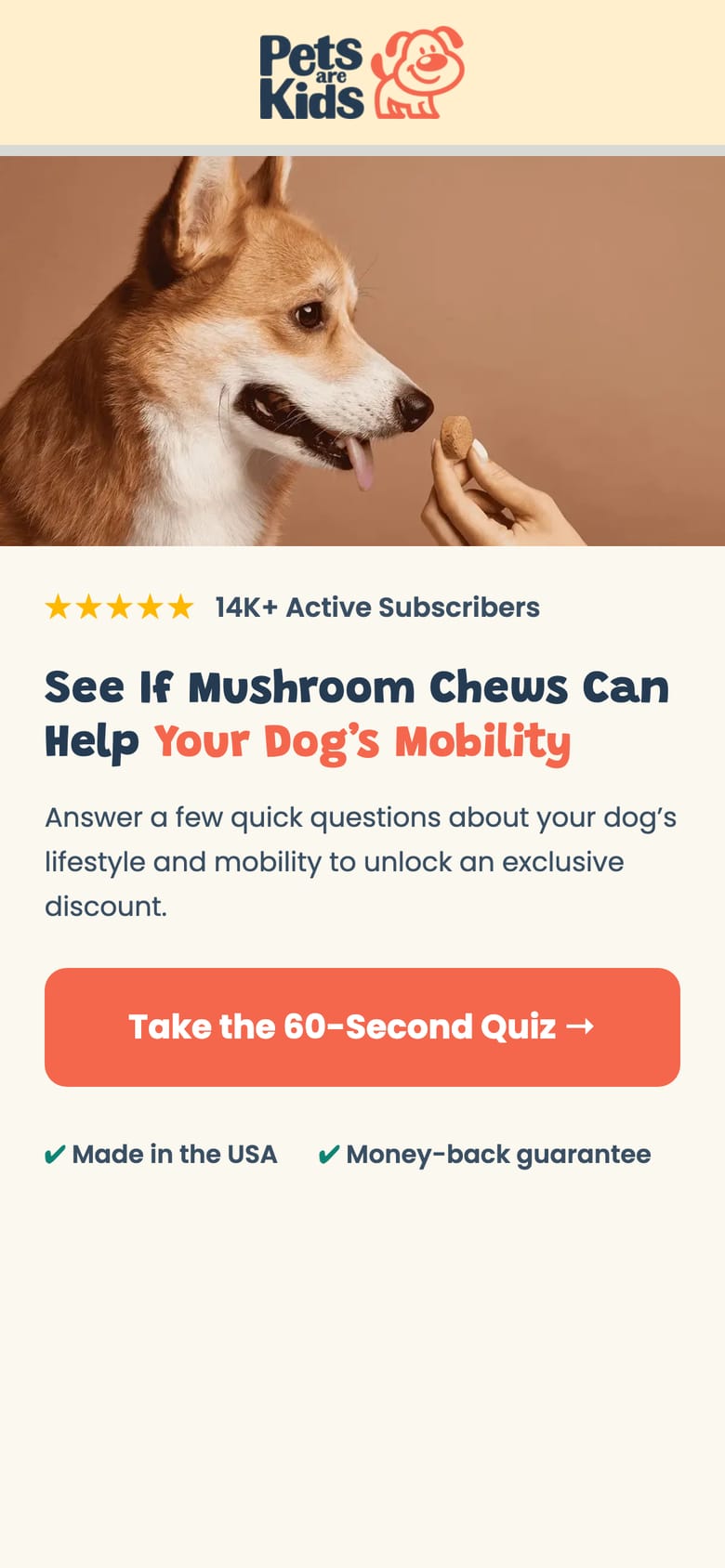 landing page capture