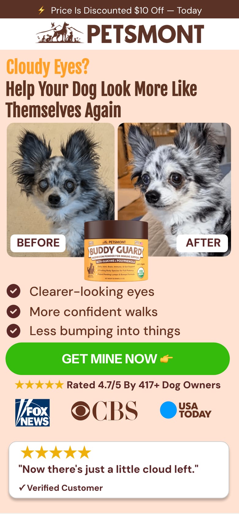 landing page capture