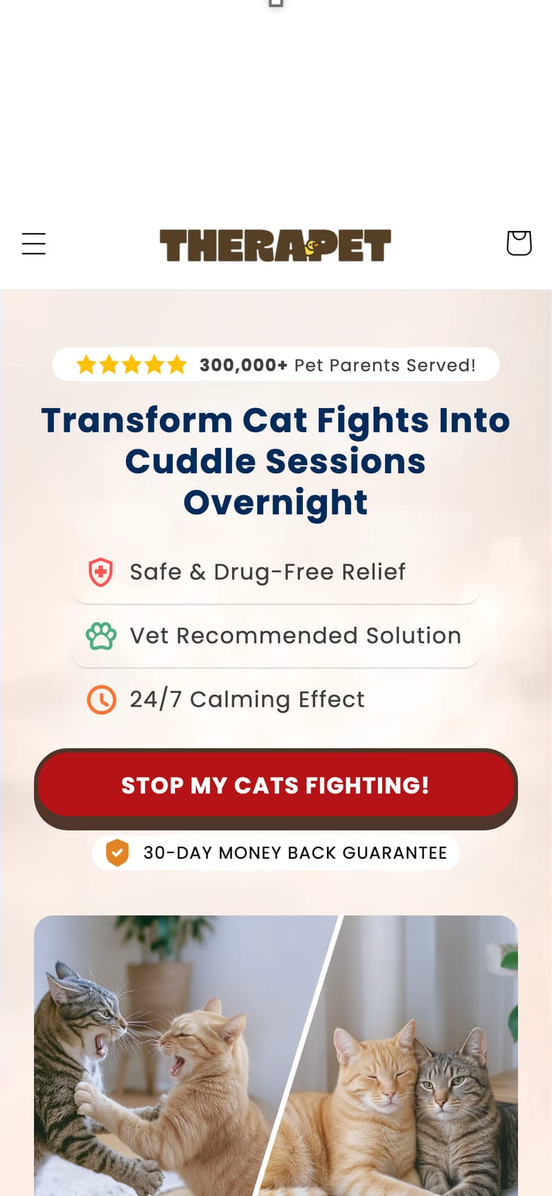 landing page capture